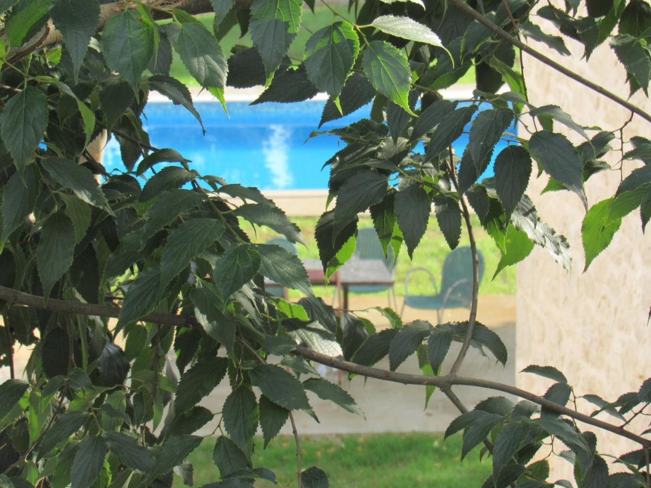 Villa Stara kuća Estate Ljubuški Exterior foto