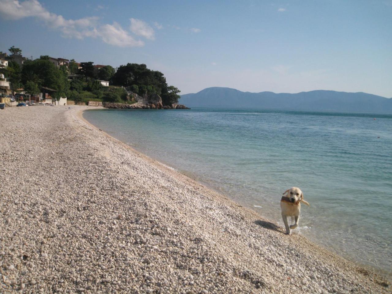 Villa Stara kuća Estate Ljubuški Exterior foto